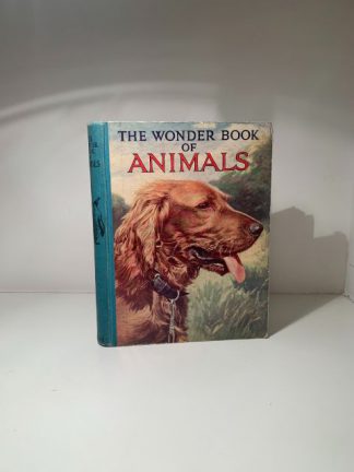 UNKNOWN - The Wonder Book Of Animals