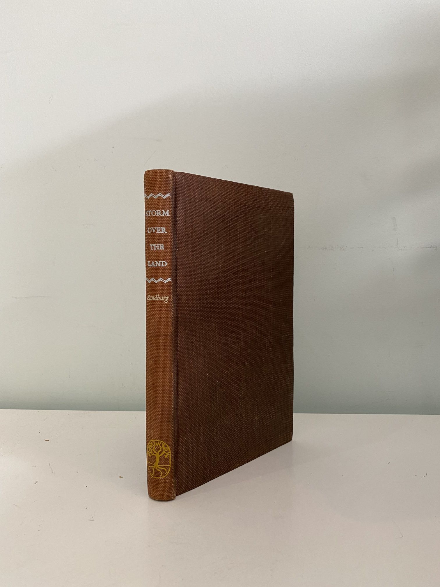 IMG_1180 SANDBURG, Carl - Storm Over The Land