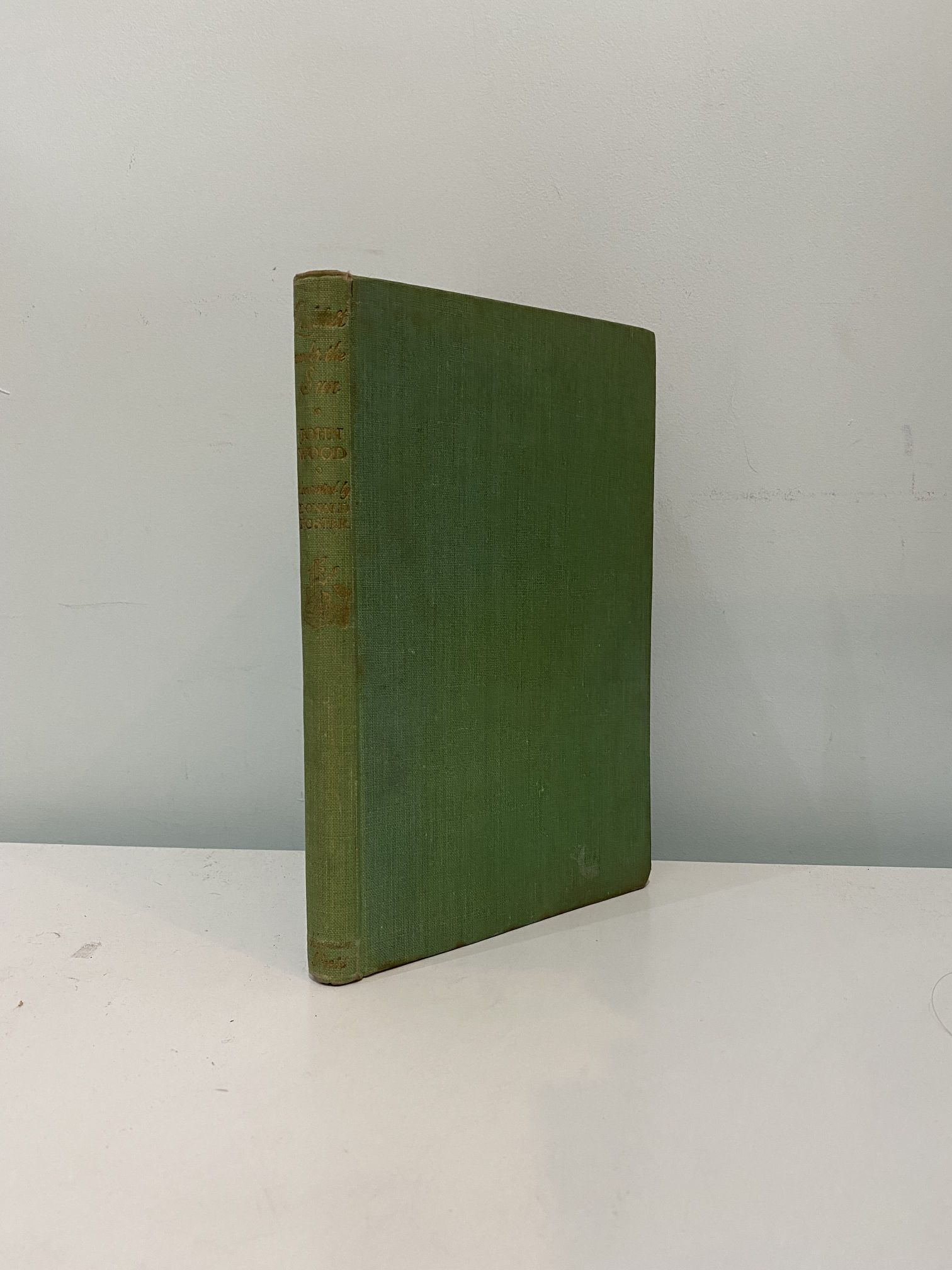 IMG_2235 WOOD, John - Quietest Under The Sun: Footways On Severnside Hills